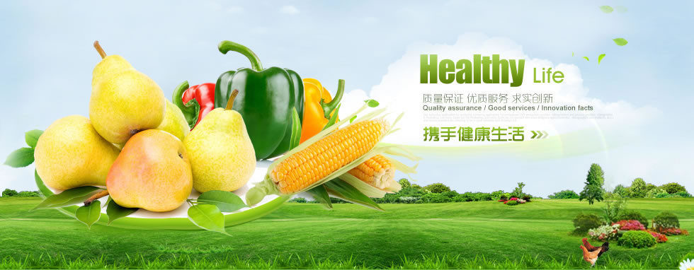 河南父的做蛋服有限公司